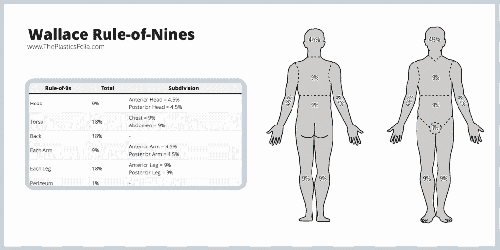 Calculating the total body surface area of a burn with Wallace Rule of Nines