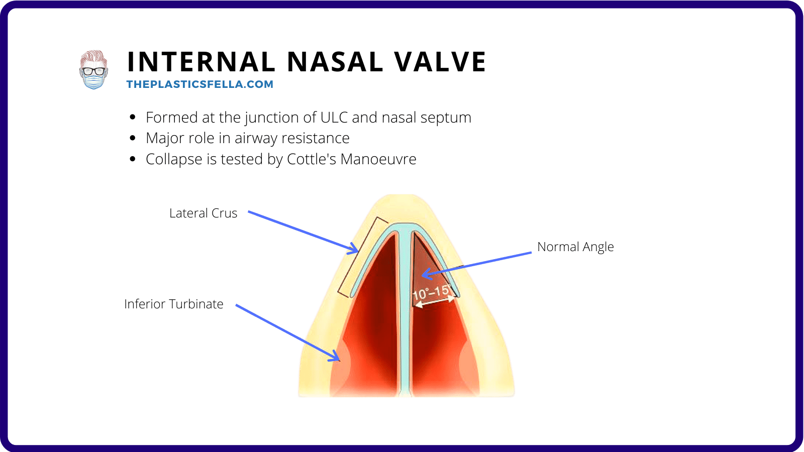Clinical Anatomy of the Nose