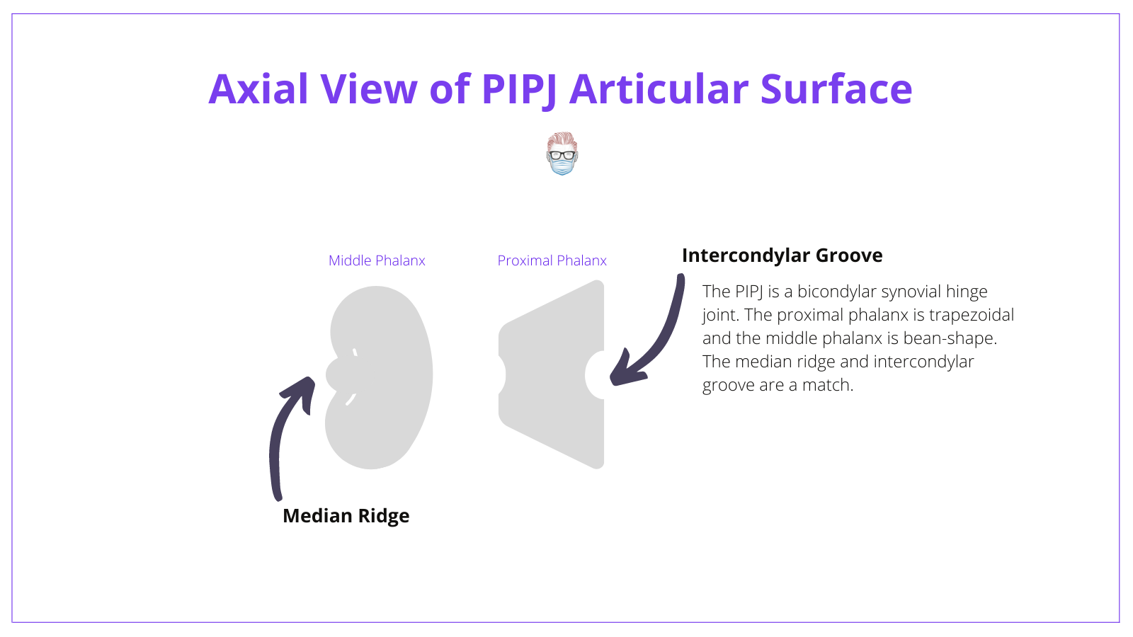 Anatomy, Proximal Interphalangeal Joint, PIPJ, Dislocation