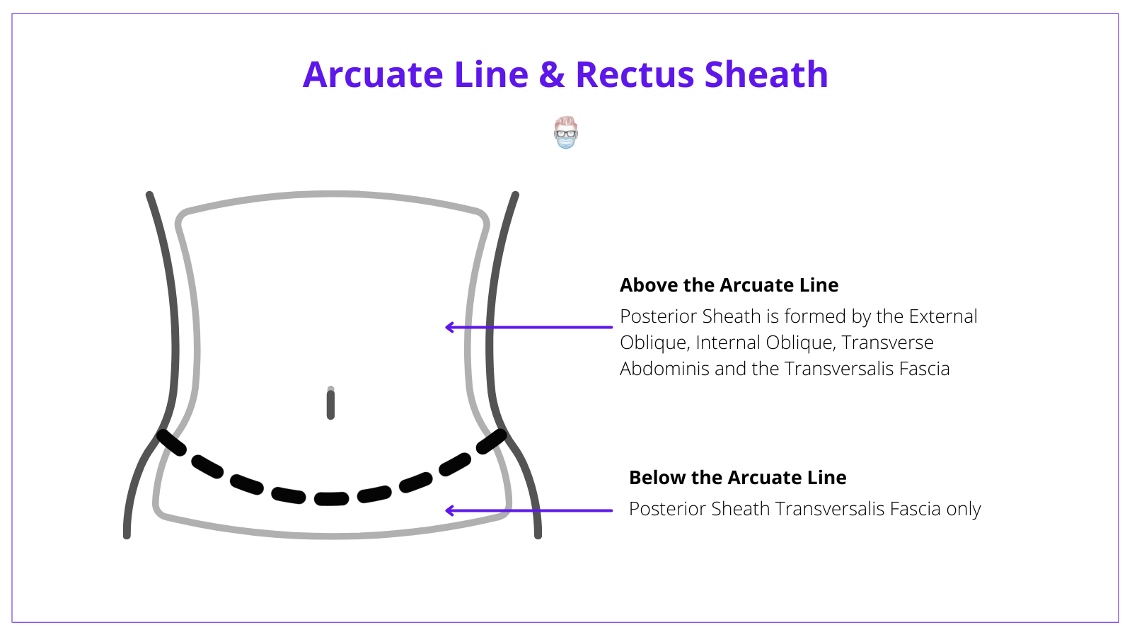 Arcuate Line, Anterior Rectus Sheath, Posterior Rectus Sheath, VRAM Flap, Anatomy