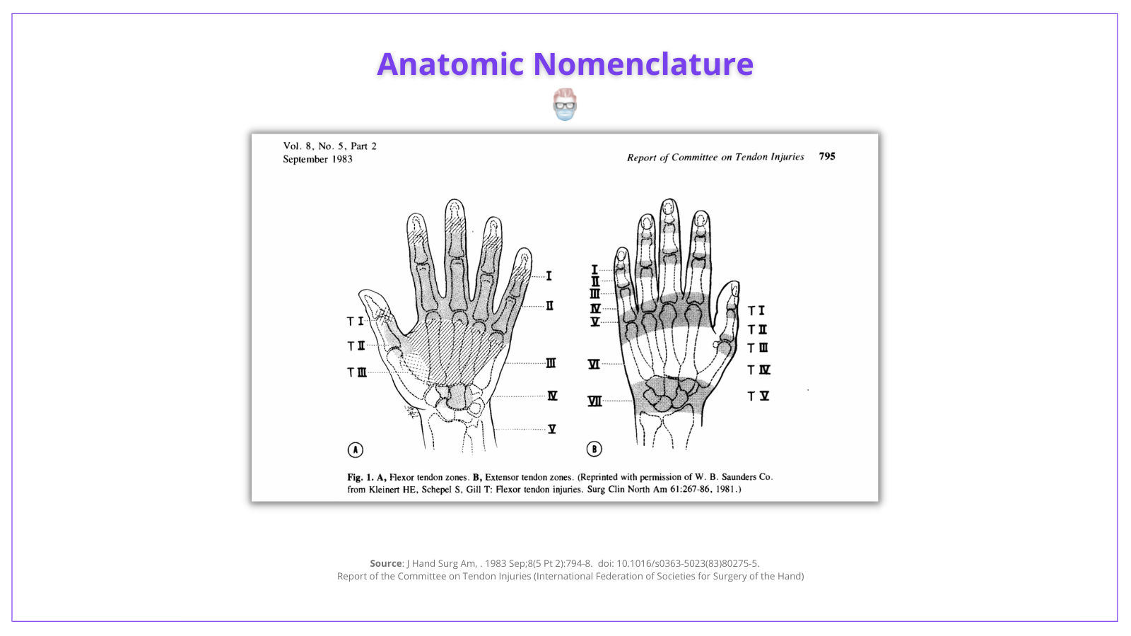 zones of the hand, flexor tendon injury, extensor tendon injury