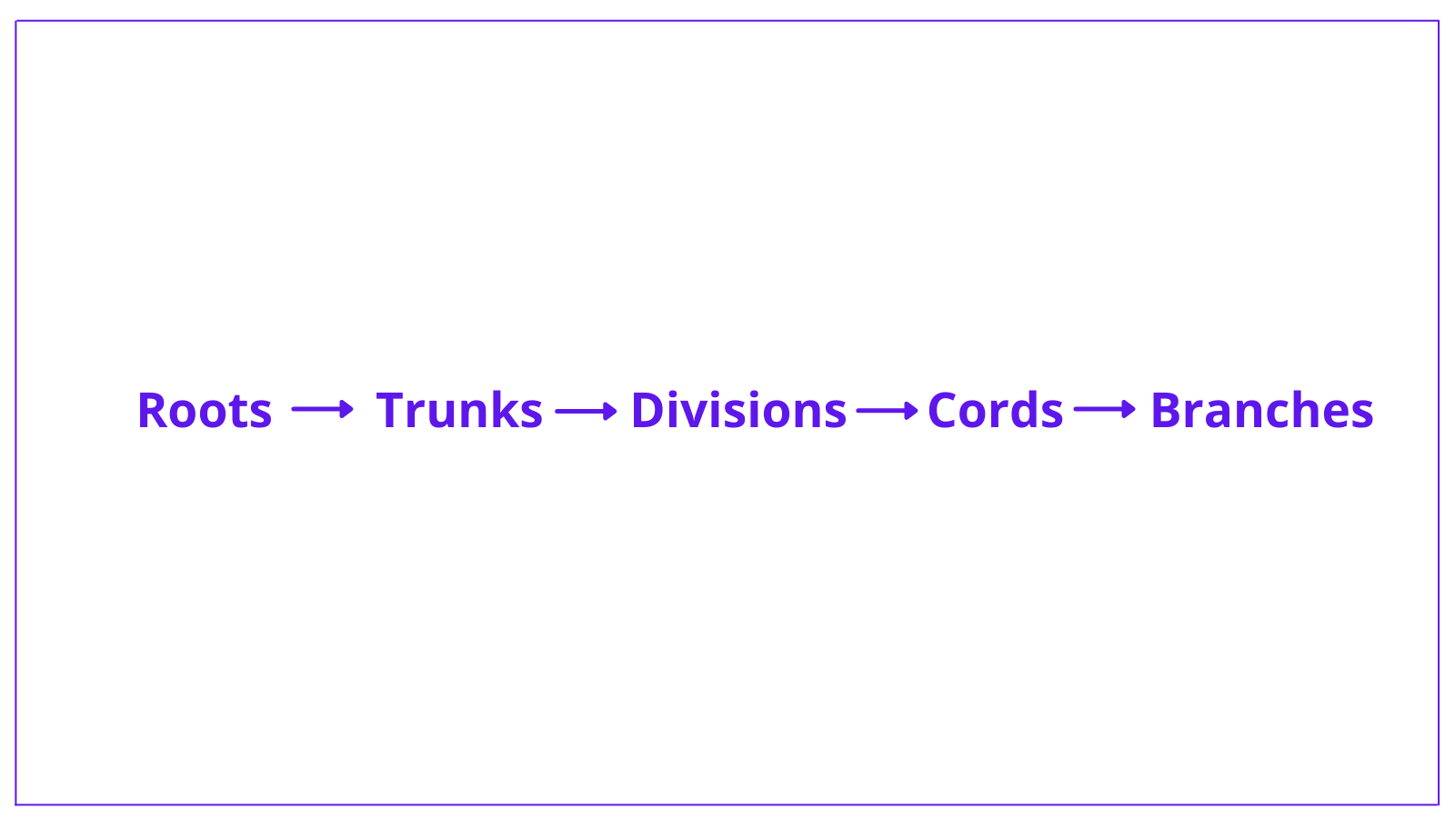 brachial plexus, anatomy, brachial plexus anatomy, roots, trunks, divisions, cords, branches