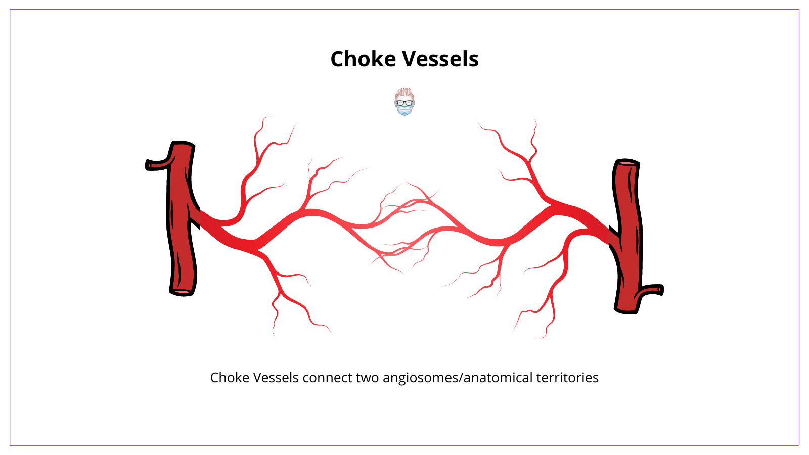 Choke Vessels connect two angiosomes or anatomical territories