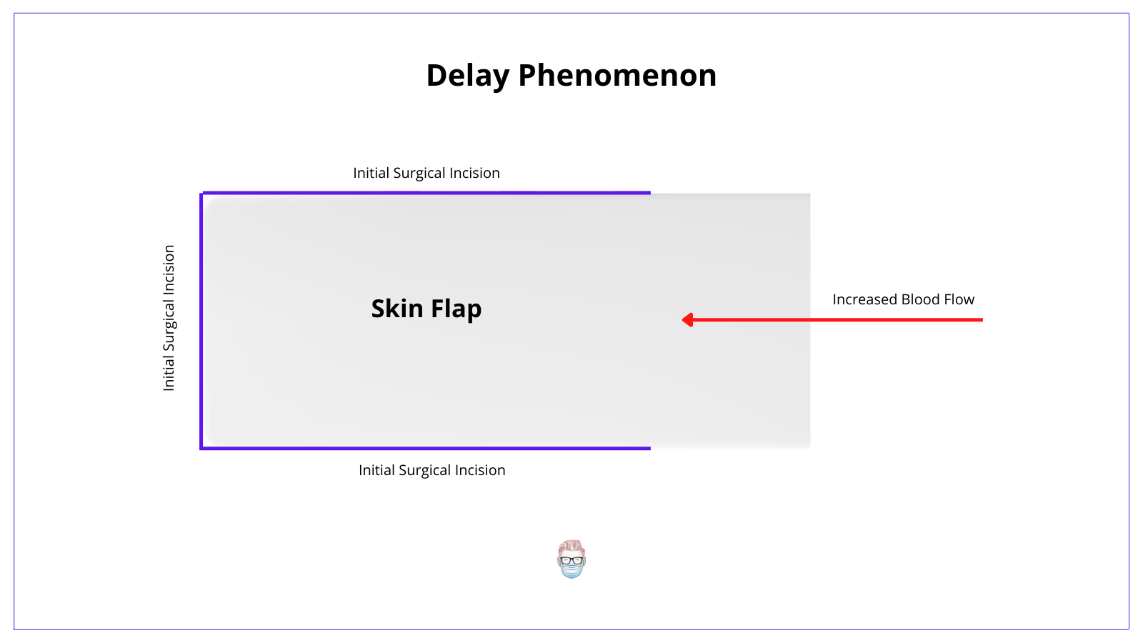 The delay phenomenon in flap surgery increases the blood flow by isolating the skin flap on it's planned blood supply. 