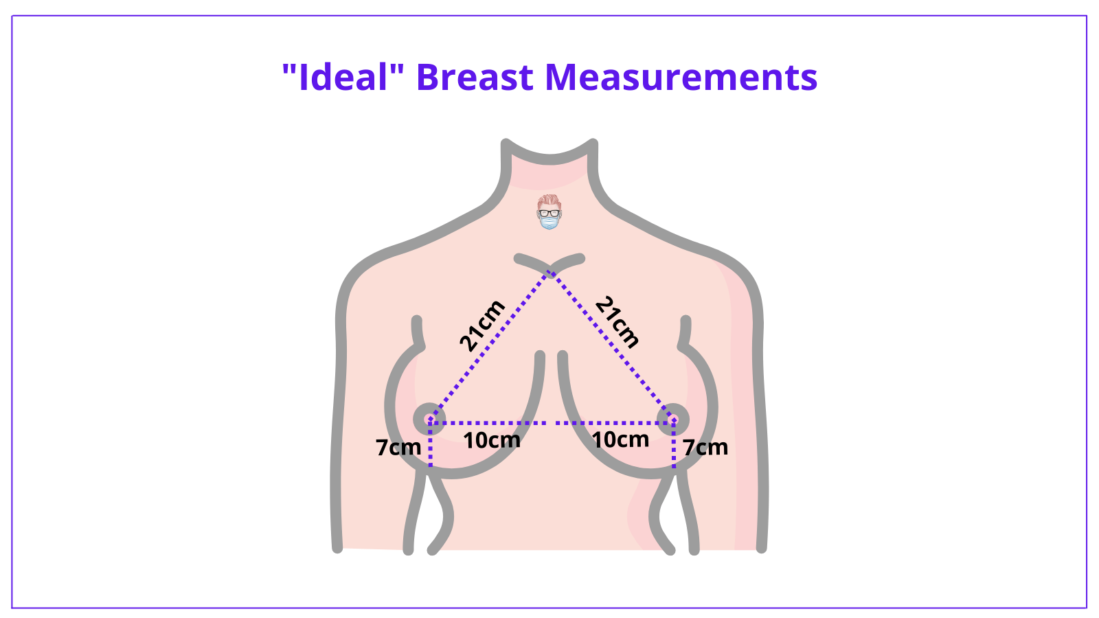 What does a breast look like on the inside?