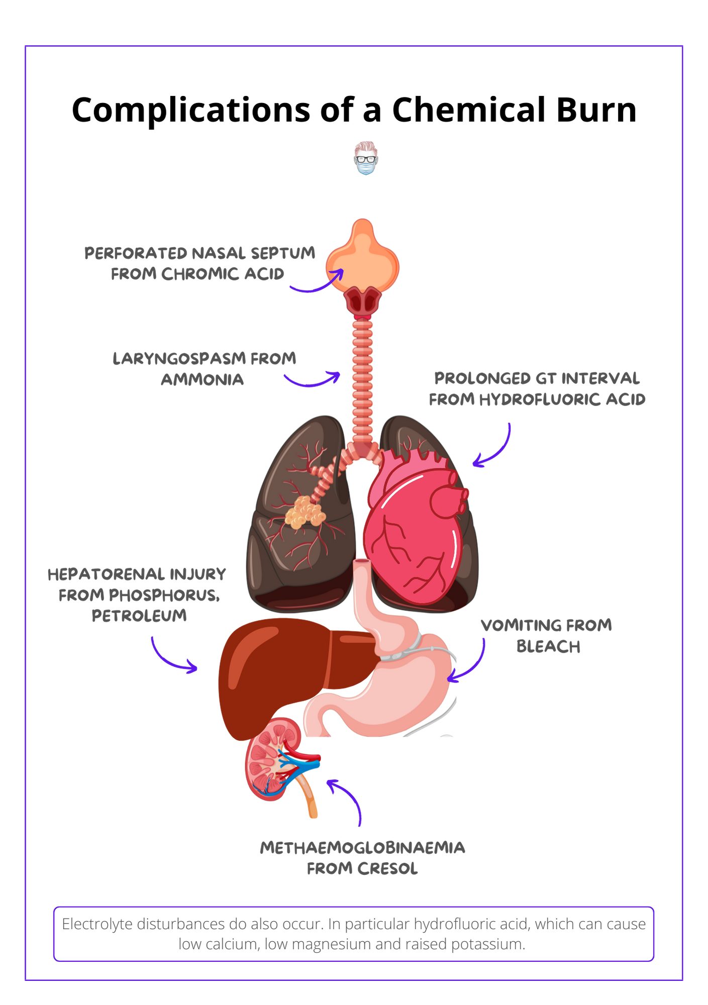 A visual summary labelling the complications and effects of chemical burns on lungs, heart, liver, kindey and electrolytes