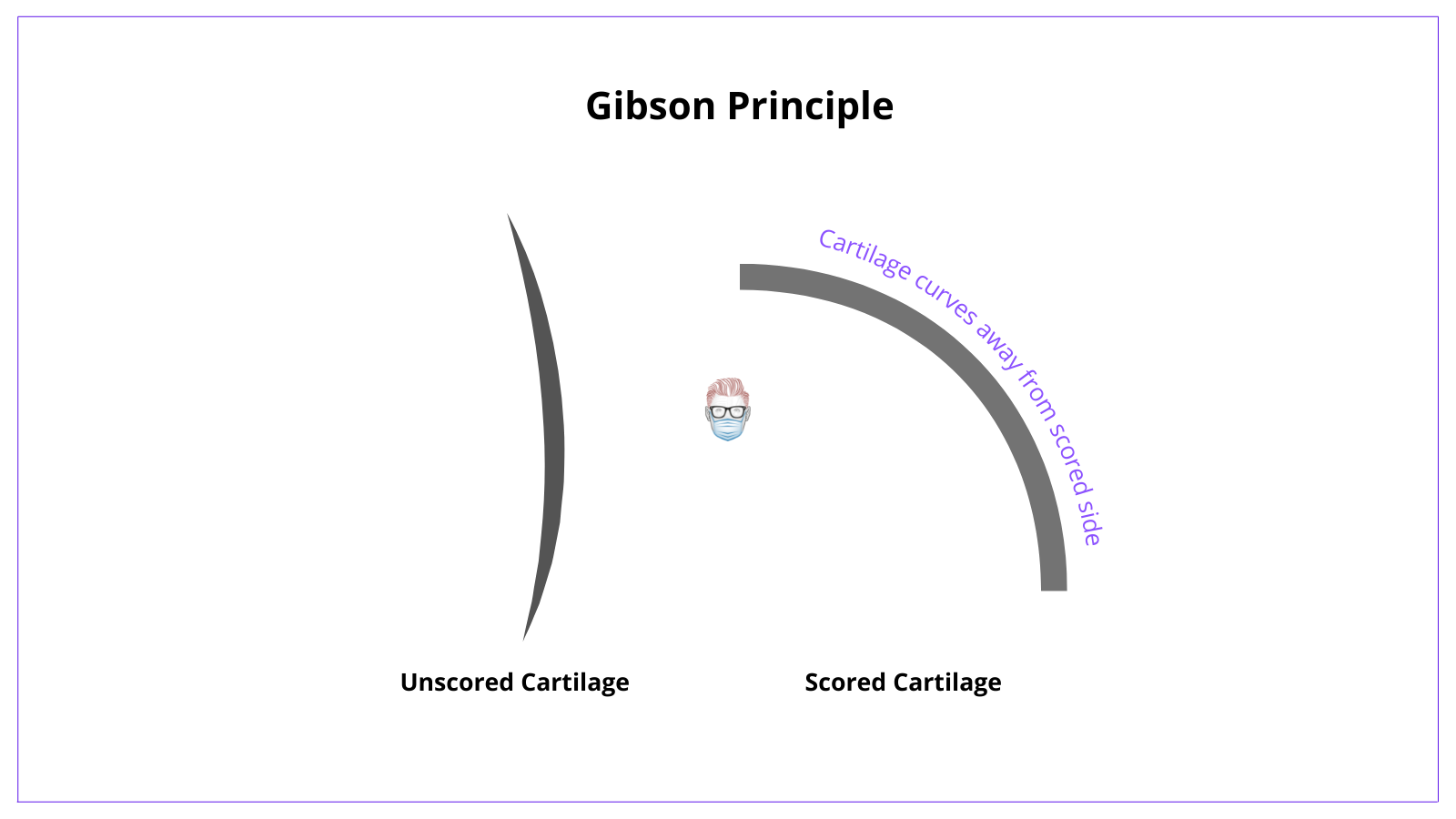 When cartilage is scored it will curve away from the scored side. This is important for cartilage warping and cartilage grafts