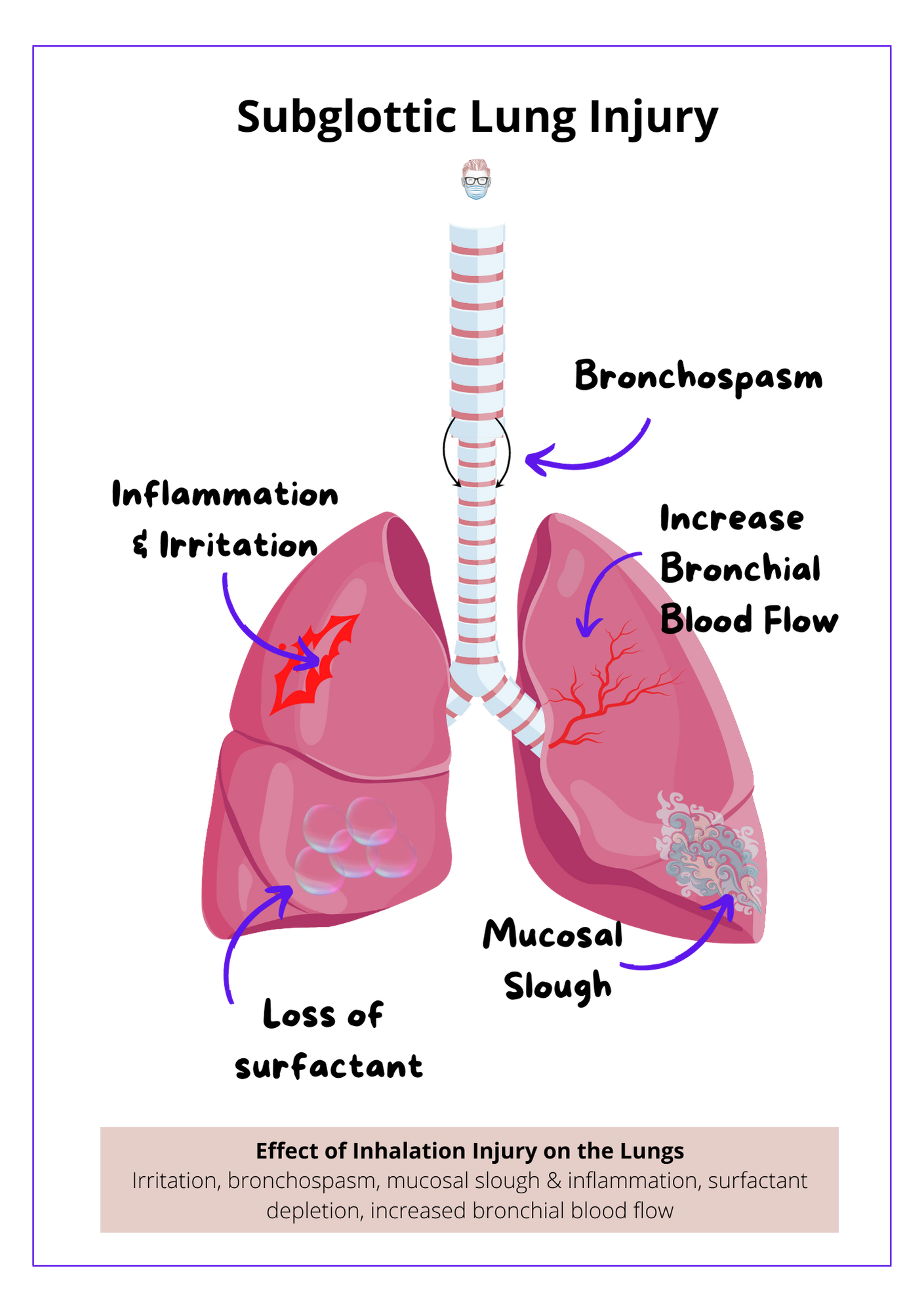 Causes irritation, bronchospasm, mucosal slough and inflammation, surfactant depletion, and increased bronchial blood flo