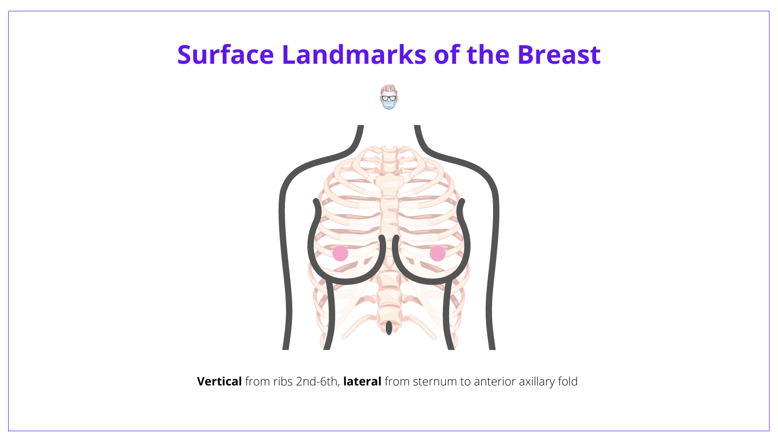 Breast Anatomy · Landmarks, Arteries, Nerves + Illustrations