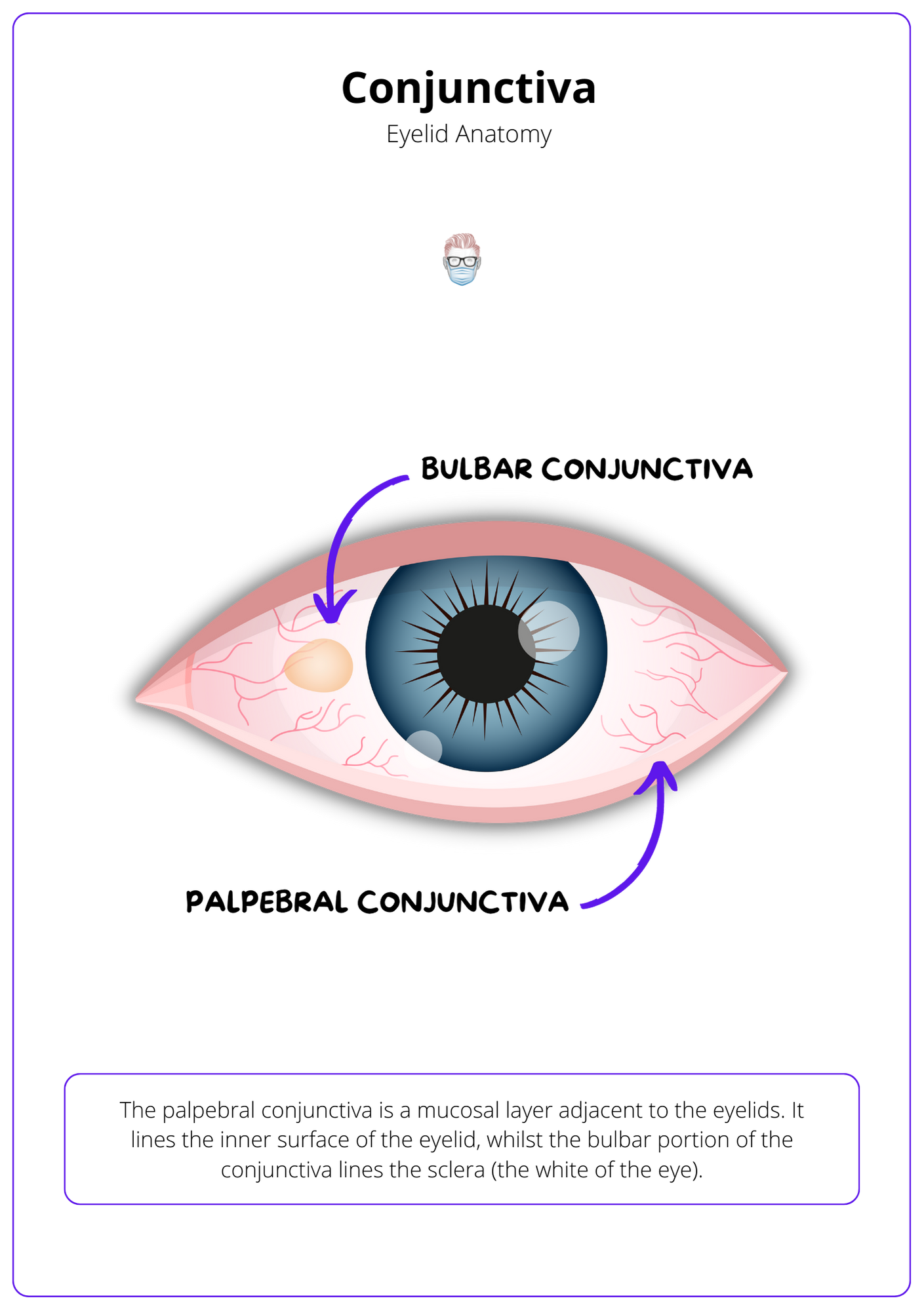 Lower eyelid store