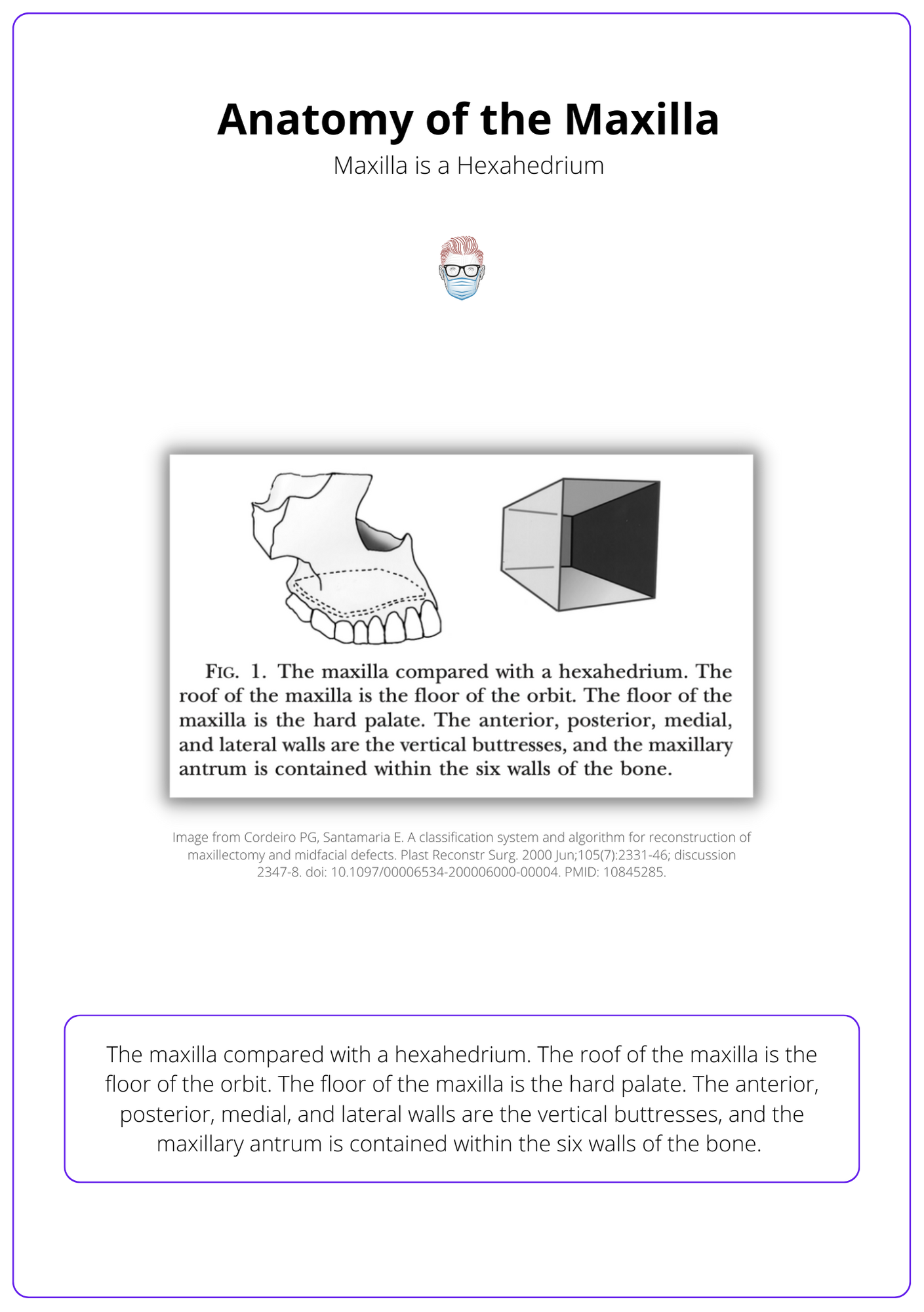 Anatomy of the Maxilla, Maxillary Reconstruction, Surgical Processes