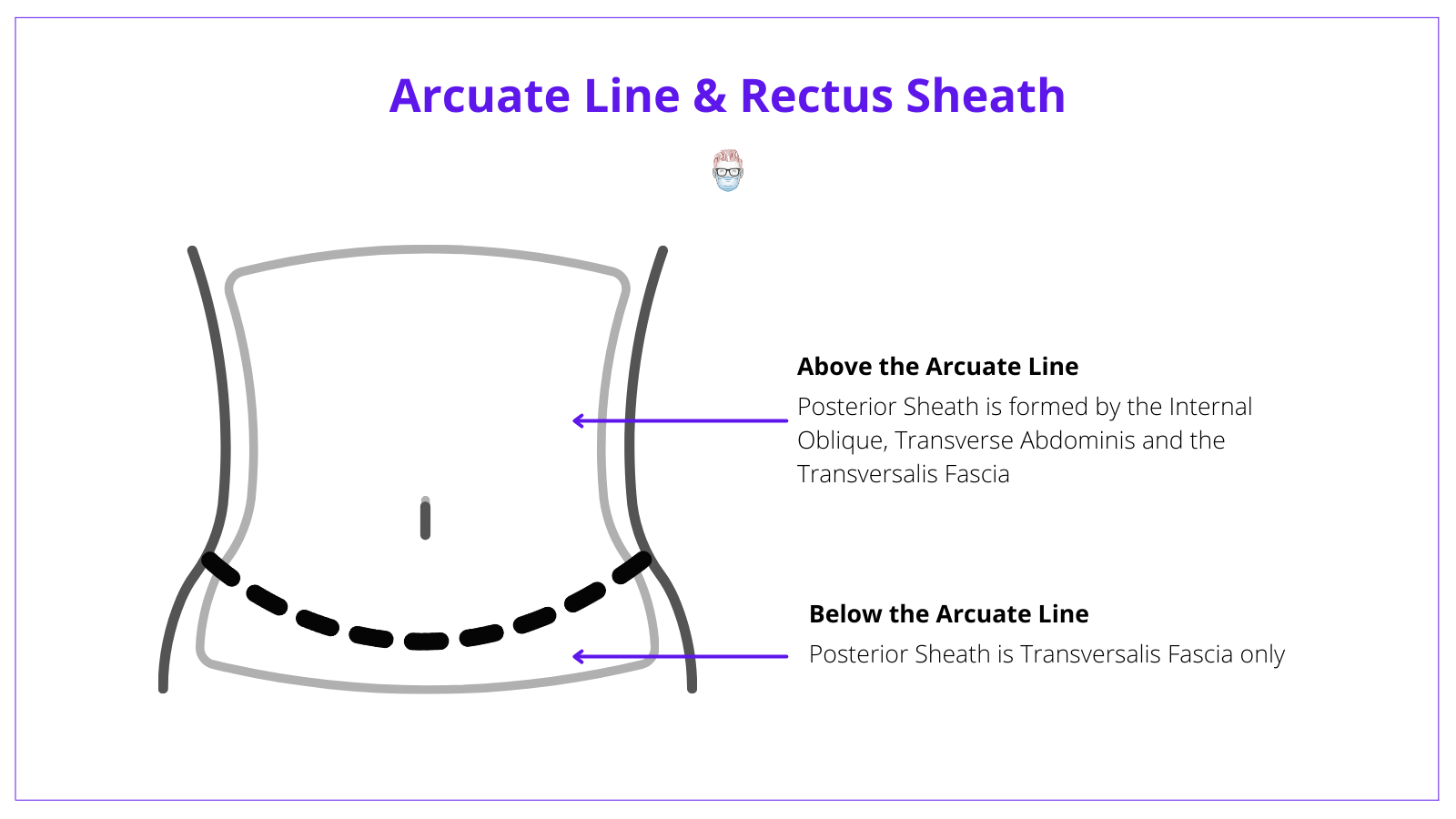 Arcuate Line, Anterior Rectus Sheath, Posterior Rectus Sheath, VRAM Flap, Anatomy