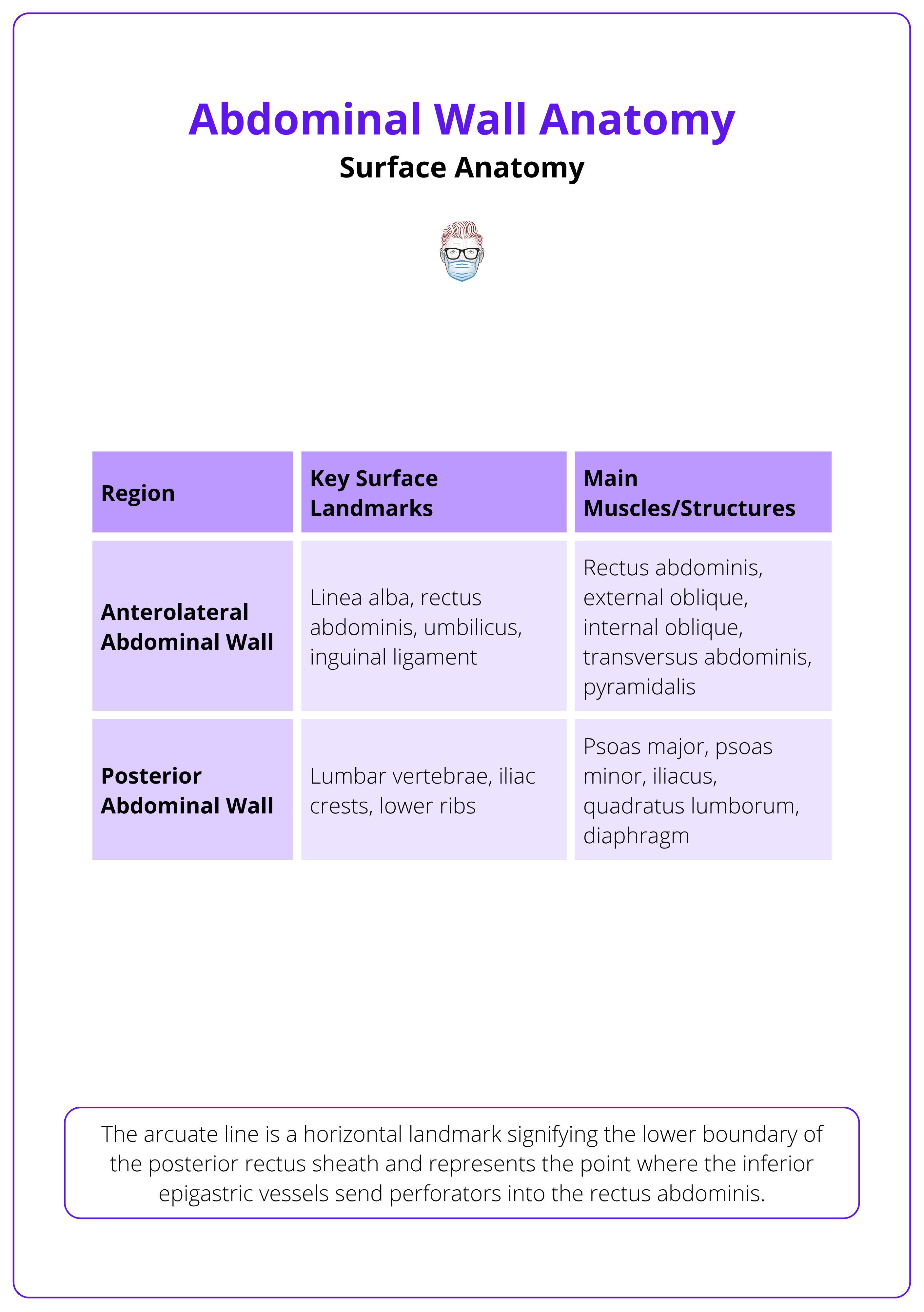 Key regions of the abdominal wall, their landmarks, and main structures