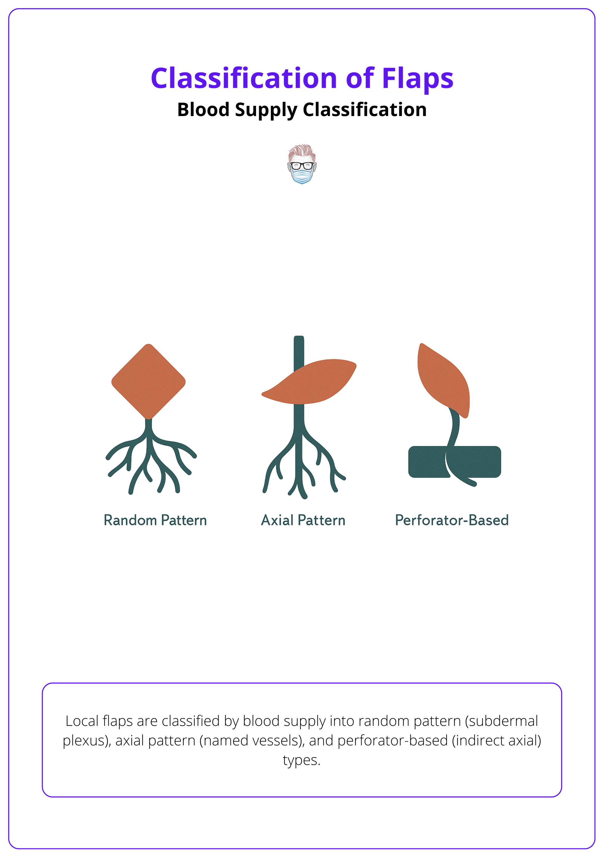 Flap classification by blood supply