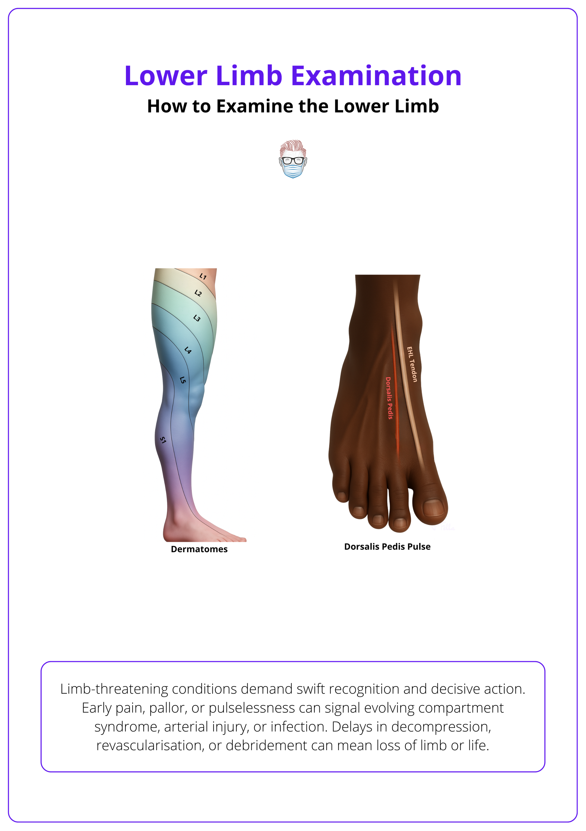 Dermatomes and dorsalis pedis pulse