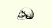 Craniosynostosis: Anatomy, Classification, & Investigations