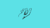 Zones of the Hand (Flexor and Extensor)