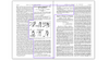 Kutler Flap - Original Publication