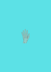 Bennett Fracture