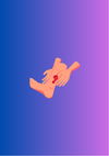 Lower Limb Reconstruction: Clinical Assessment, Decision Algorithm, & Flap Options
