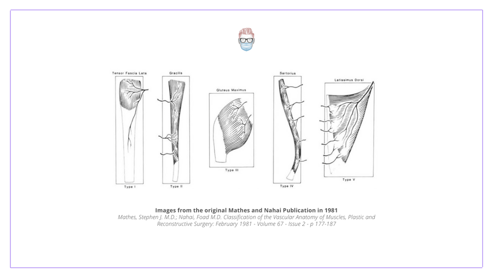 Muscle Flaps (Mathes and Nahai Classification)