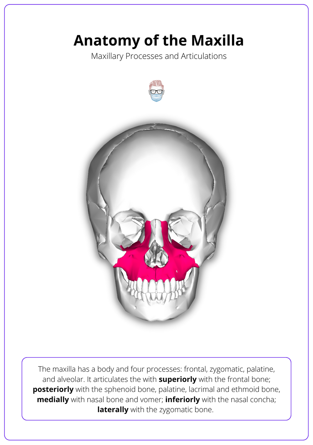 Maxillary Reconstruction Anatomy, Classifications, and Algorithms