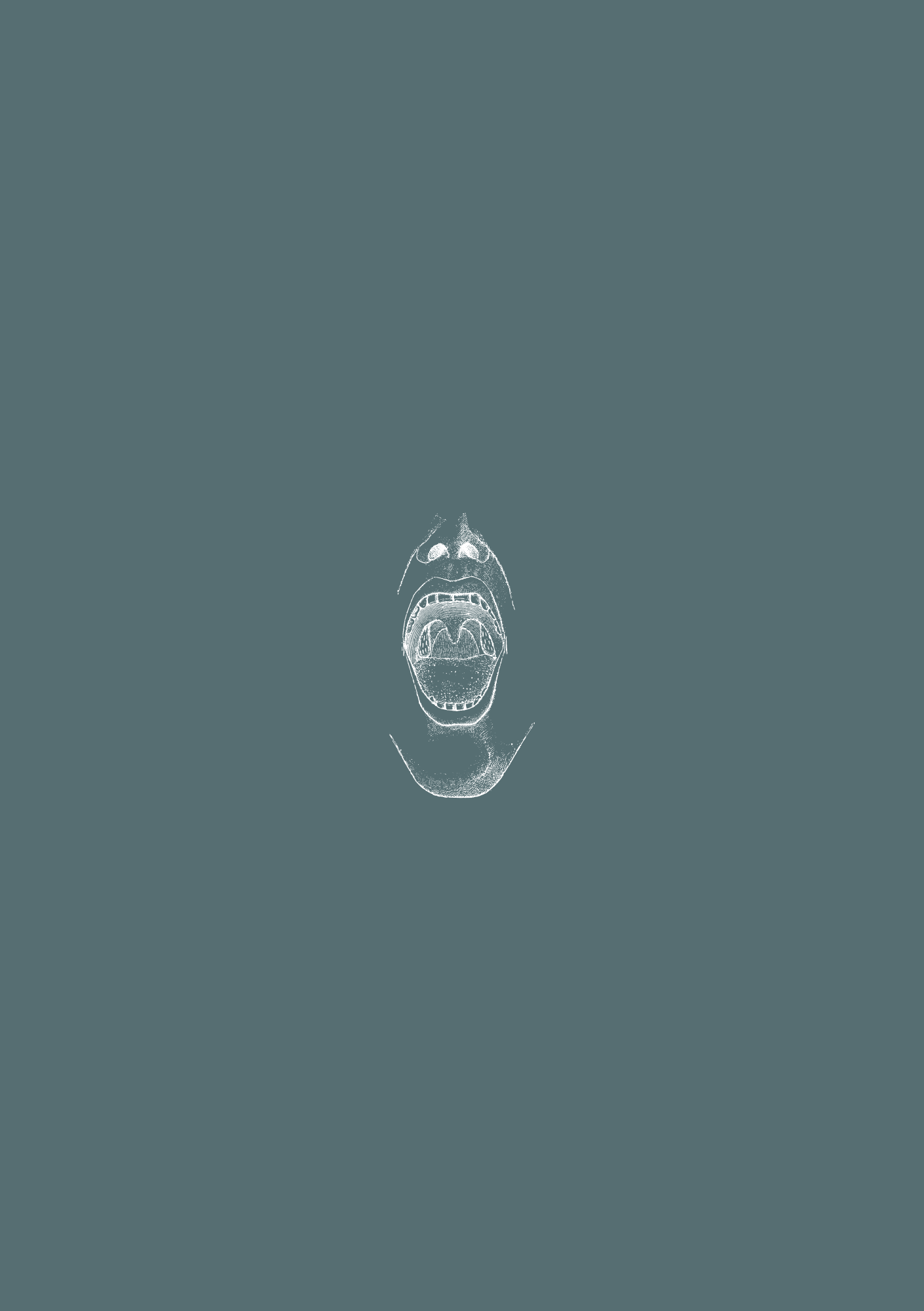 Anatomy of Hard & Soft Palate · Bones, Muscle, Artery, Nerves