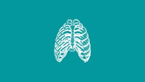 Principles of Chest Wall Reconstruction
