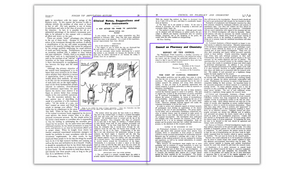 Kutler Flap - Original Publication