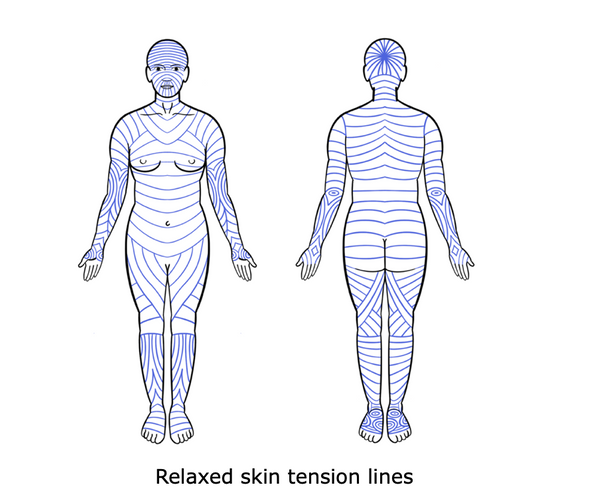 The Principles of Skin Suturing