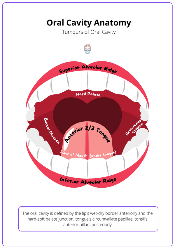 Oral Cavity Tumours · Types, Staging, Treatment, Anatomy